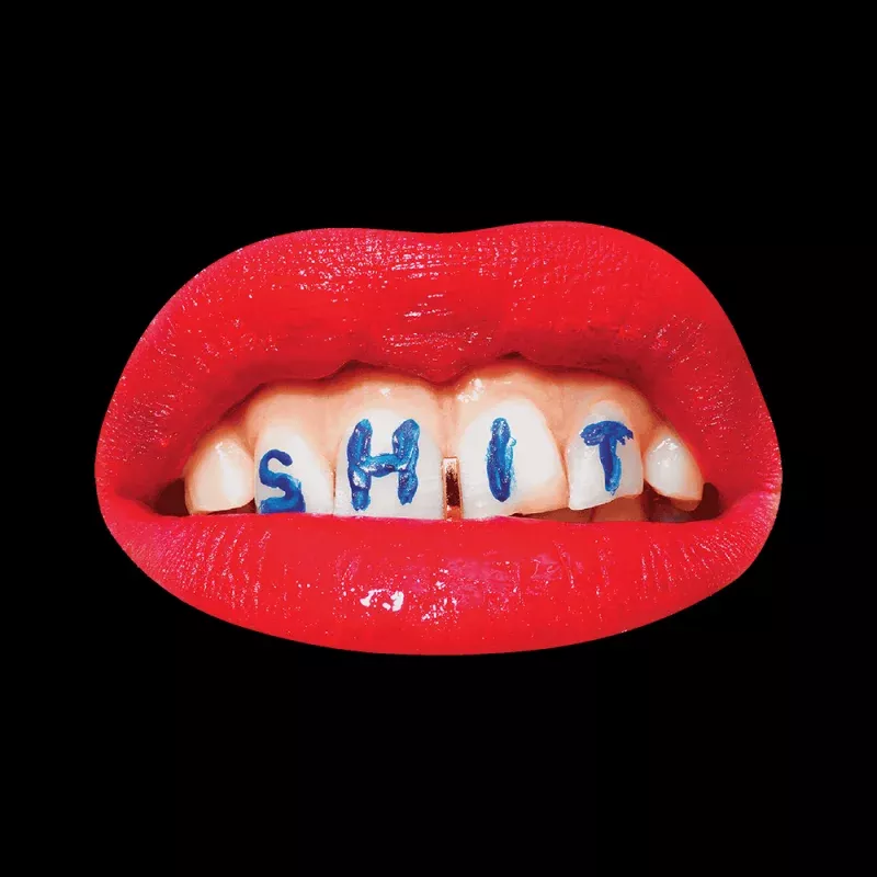 Shit Sticker